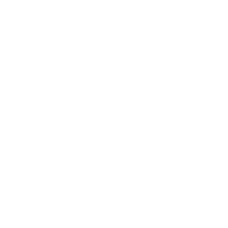 Healthy Choice