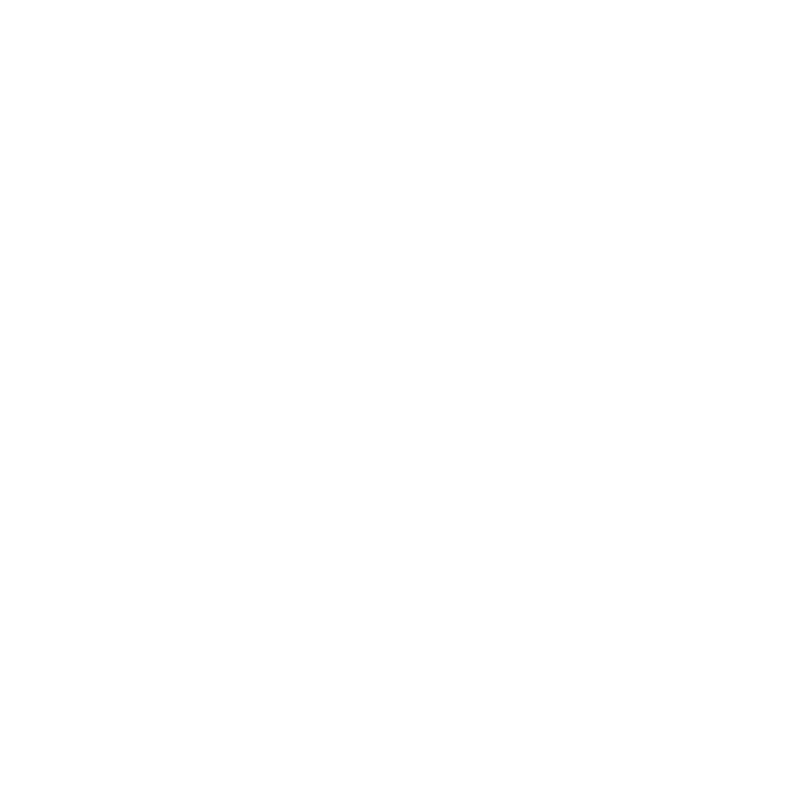 Moet Hennessy