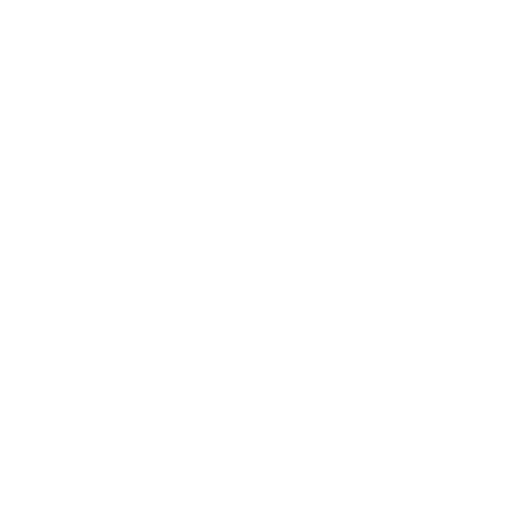 Sappi