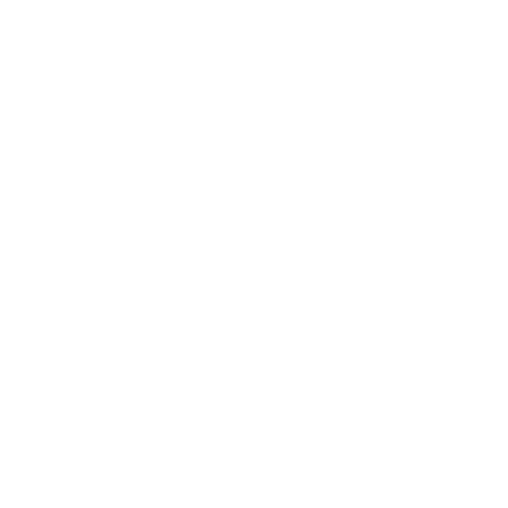 Slim Jim